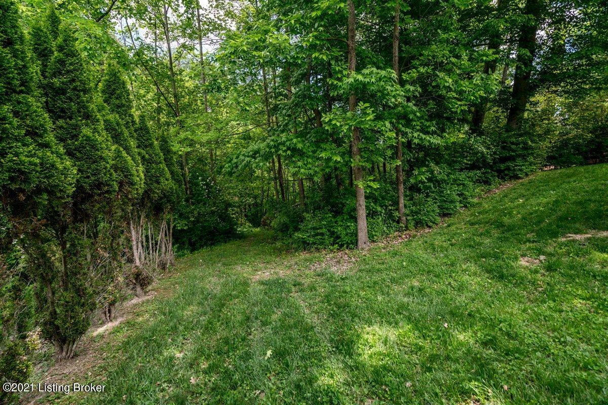 7015 Shallow Lake Road Prospect, KY 40059 - Photo 62 of 78 62-7015-62
