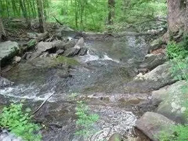 a view of a forest with lots of trees