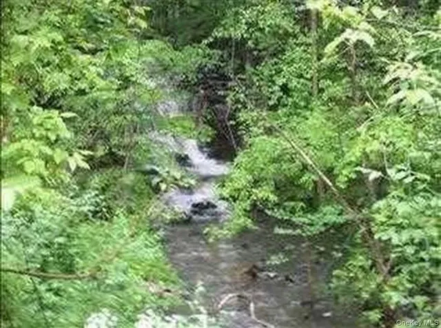 a view of a forest with a tree