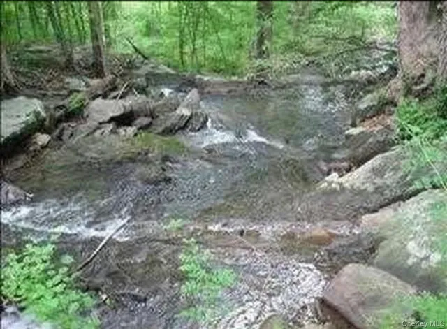 a view of a forest with lots of trees