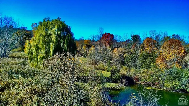 a view of a houses with a lush green forest