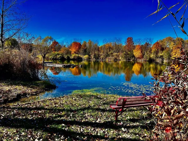 a view of a lake with a building in the background