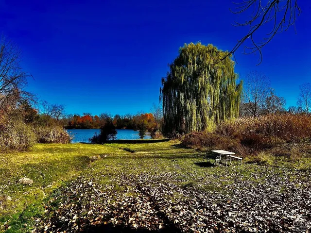 a view of a yard with a house