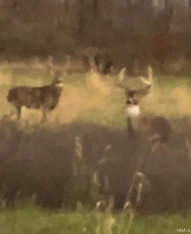 $118,650 | 15504 Makarios, Spencerville, IN 46788