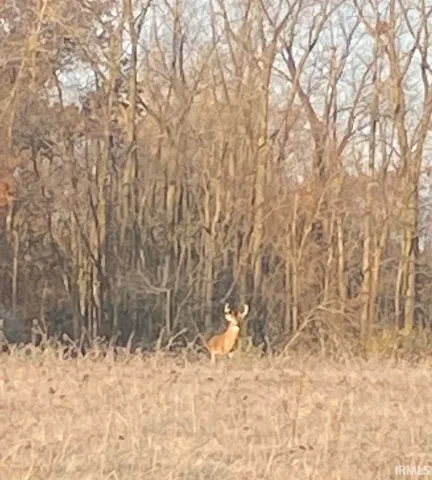 $118,650 | 15504 Makarios, Spencerville, IN 46788