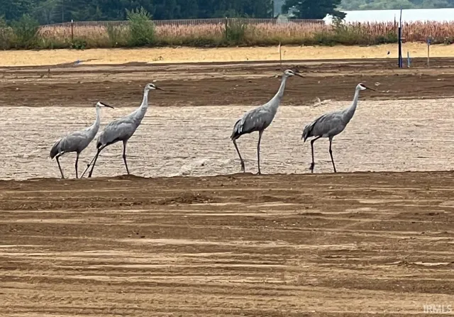 $118,650 | 15504 Makarios, Spencerville, IN 46788