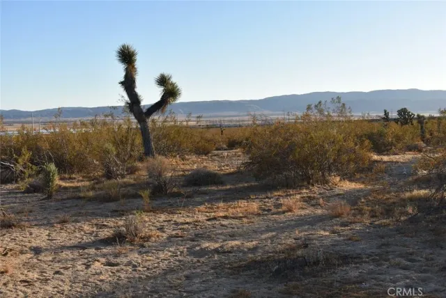 $35,000 | 19300 Astoria, Rosamond, CA 93560