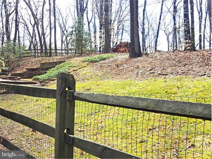 650 Forest Road Wayne, PA 19087 - Photo 23 of 25 Back Yard