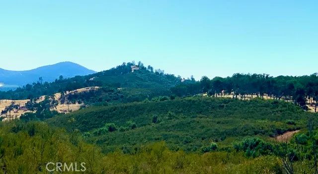 a view of a lush green hillside and houses