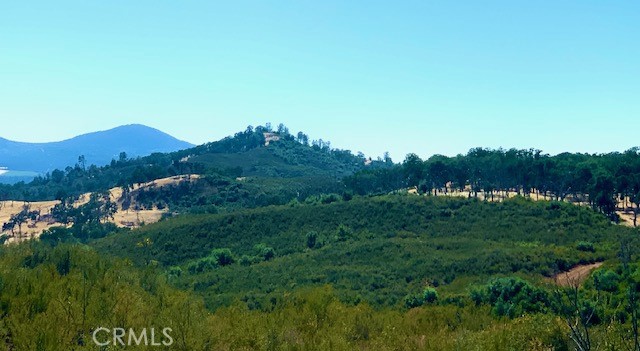 a view of a lush green hillside and houses