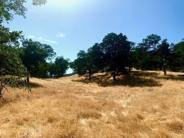 10455 Sky High Ridge Road Lower Lake, CA 95457 - Photo 11 of 17 a view of swimming pool with outdoor seating and trees in the background