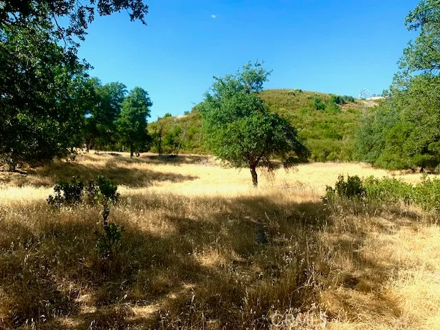 a view of a yard covered with snow in front of house