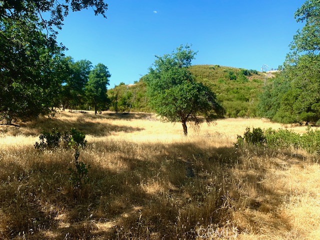 10455 Sky High Ridge Road Lower Lake, CA 95457 - Photo 12 of 17 a view of a yard with a tree