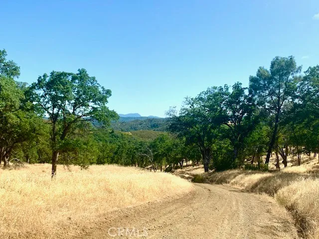 a view of a bunch of trees in a field