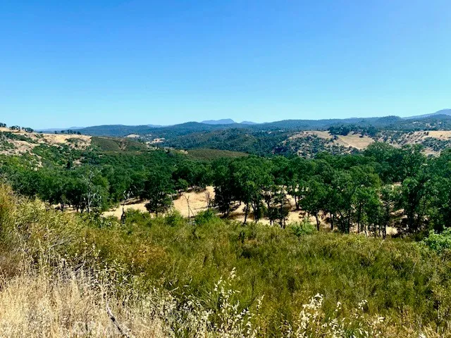 a view of swimming pool with a yard