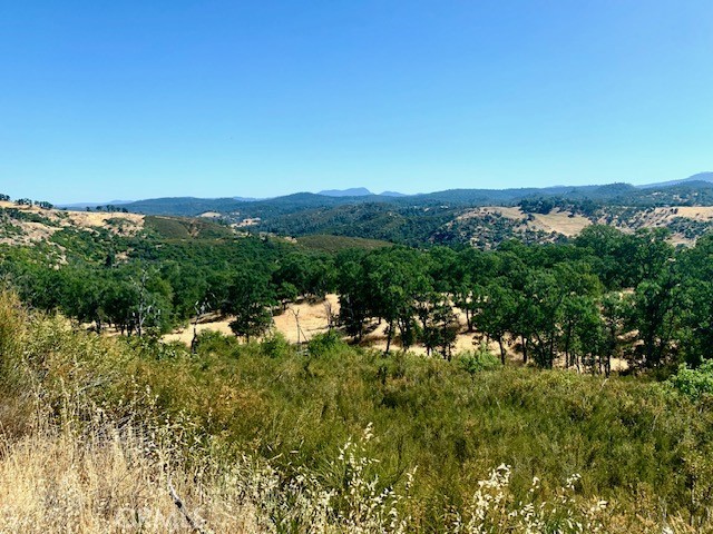 10455 Sky High Ridge Road Lower Lake, CA 95457 - Photo 14 of 17 a view of a bunch of trees in a field