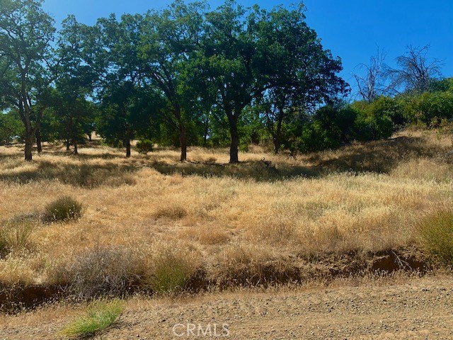 10455 Sky High Ridge Road Lower Lake, CA 95457 - Photo 15 of 17 a view of swimming pool with a yard