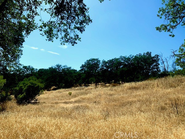 10455 Sky High Ridge Road Lower Lake, CA 95457 - Photo 16 of 17