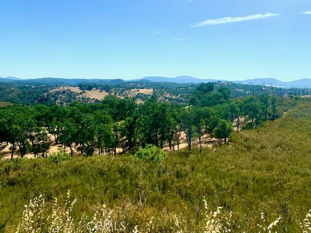 a view of a city with lush green forest
