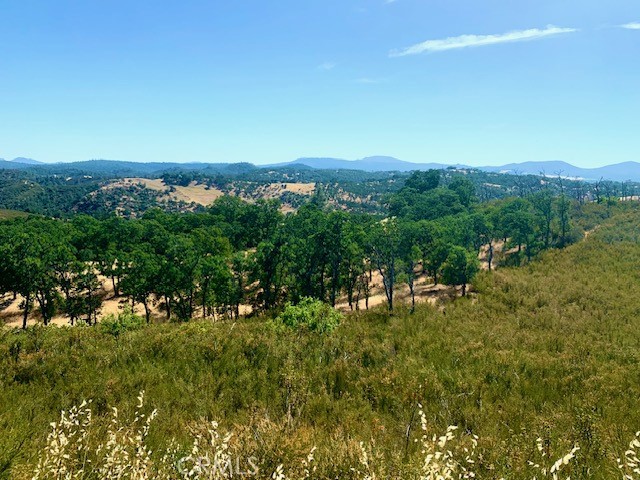 10455 Sky High Ridge Road Lower Lake, CA 95457 - Photo 4 of 17 a view of a city with lush green forest