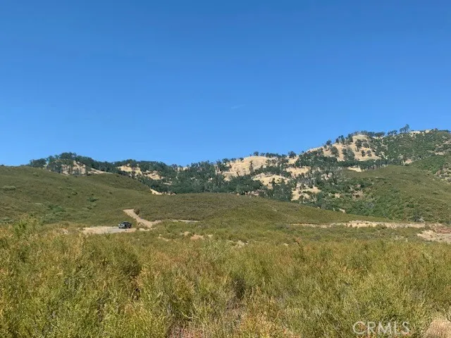 a view of a lush green outdoor space with a lake view