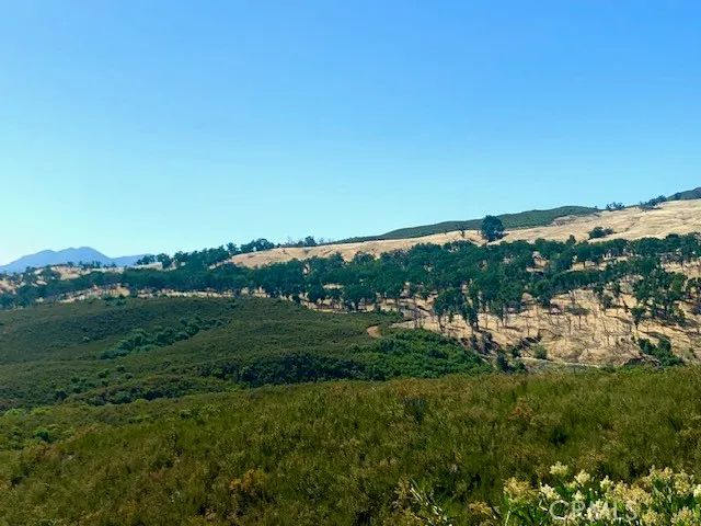 a view of outdoor space with trees