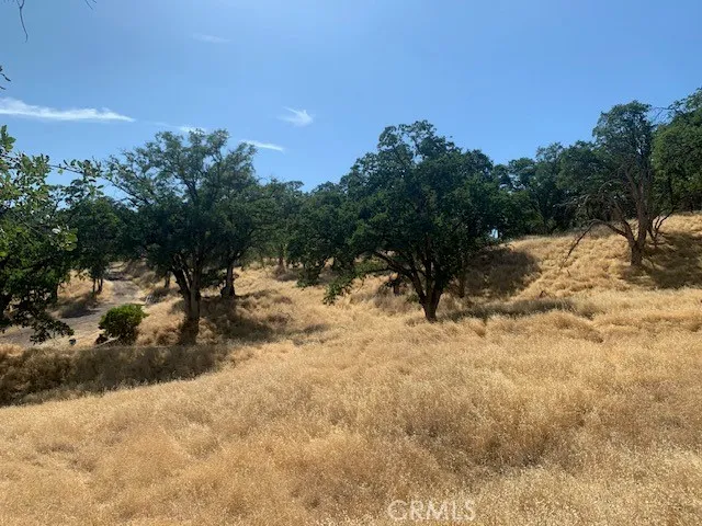 a view of swimming pool with outdoor seating and trees in the background