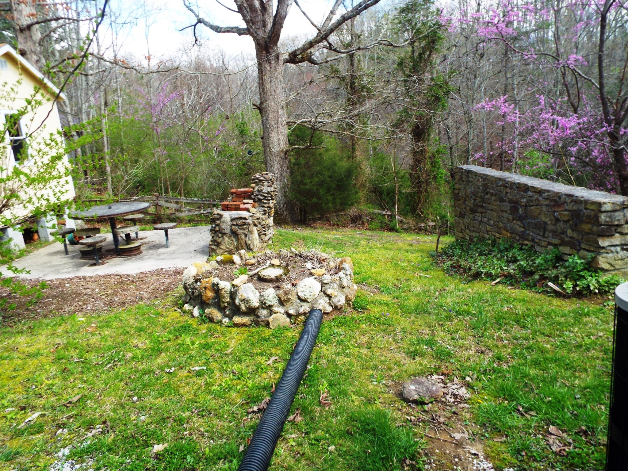 1445 West Cove Road Jamestown, TN 38556 - Photo 6 of 30 a view of a backyard with a garden and entertaining space