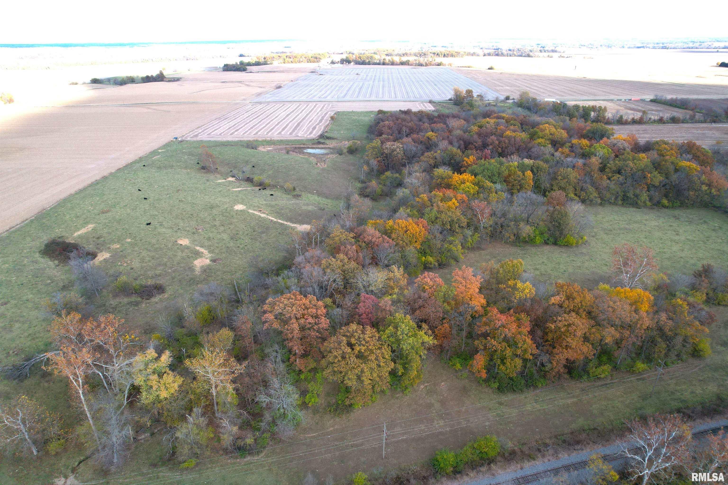 1380 E Road Kane, IL 62054 - Photo 3 of 14