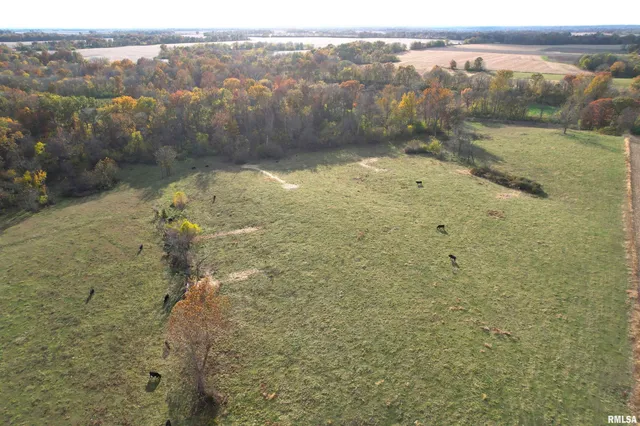 $351,000 | 1380 E Road, Kane, IL 62054