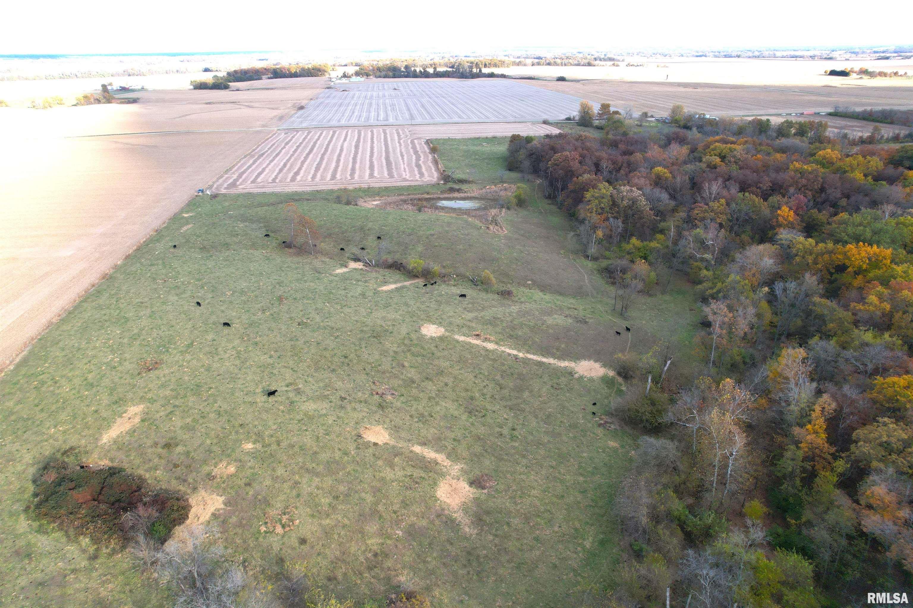 1380 E Road Kane, IL 62054 - Photo 5 of 14