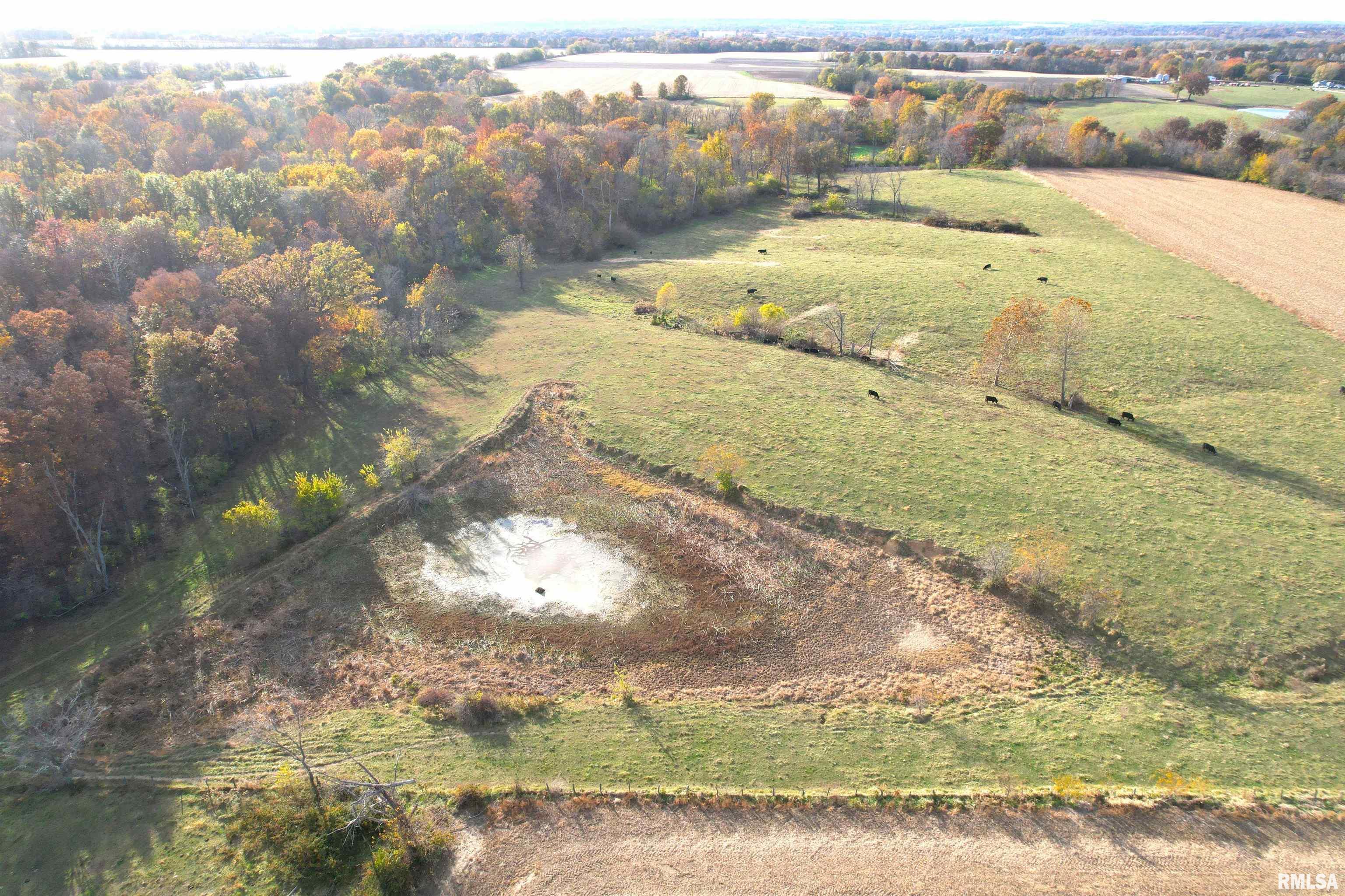 1380 E Road Kane, IL 62054 - Photo 6 of 14