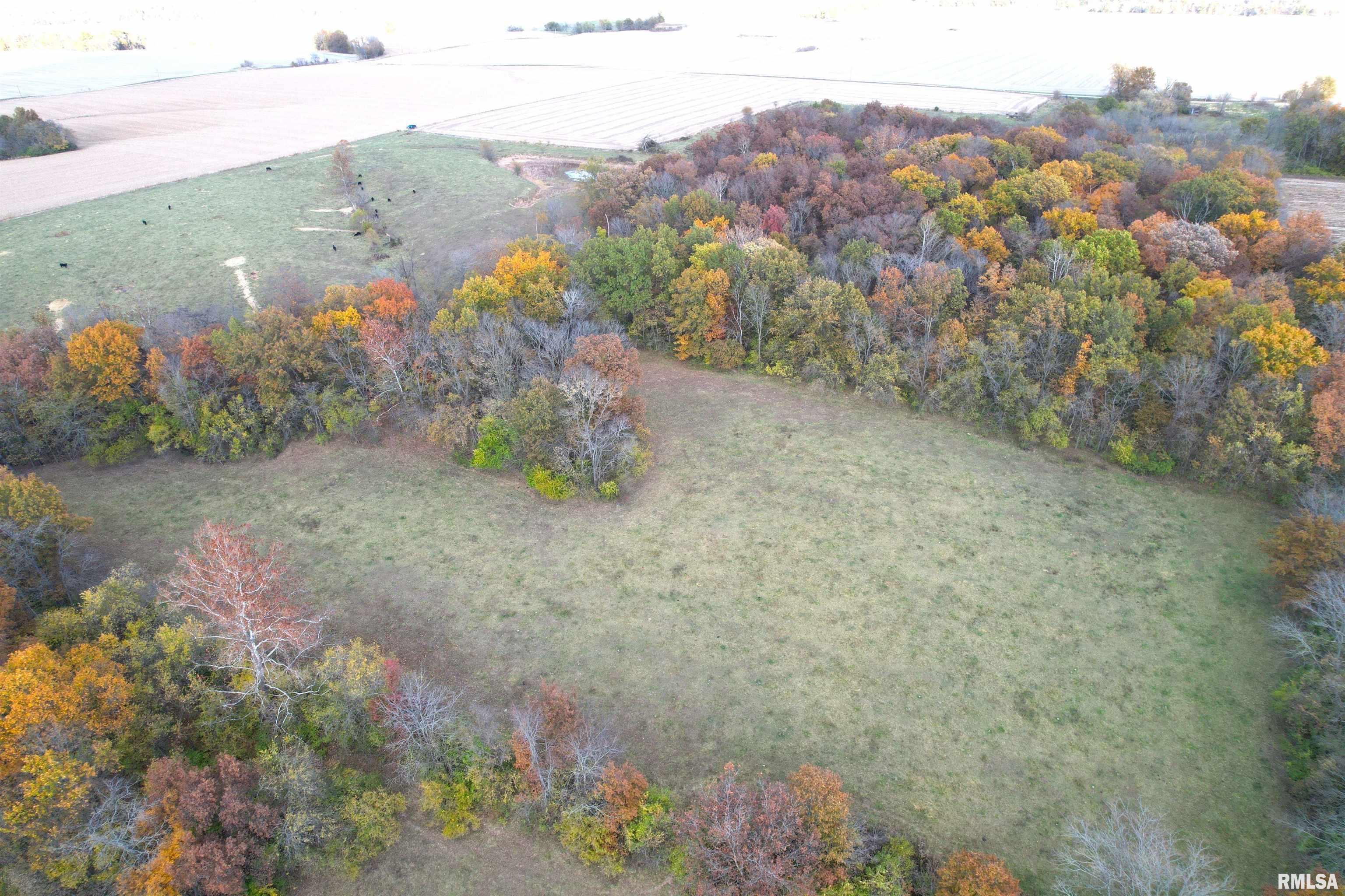 1380 E Road Kane, IL 62054 - Photo 7 of 14