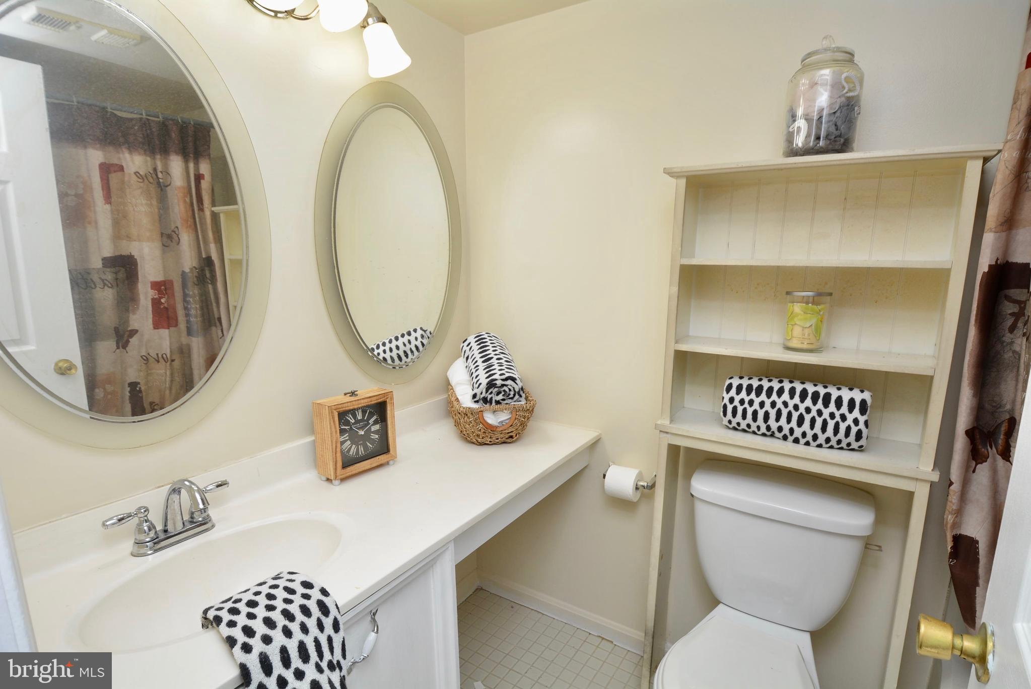 5920 Cove Landing Road, Unit 302 Burke, VA 22015 - Photo 29 of 45 Bathroom