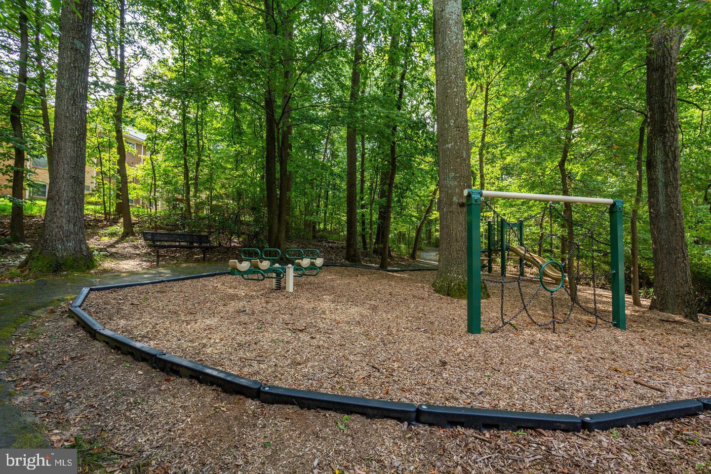 5920 Cove Landing Road, Unit 302 Burke, VA 22015 - Photo 39 of 45 Community