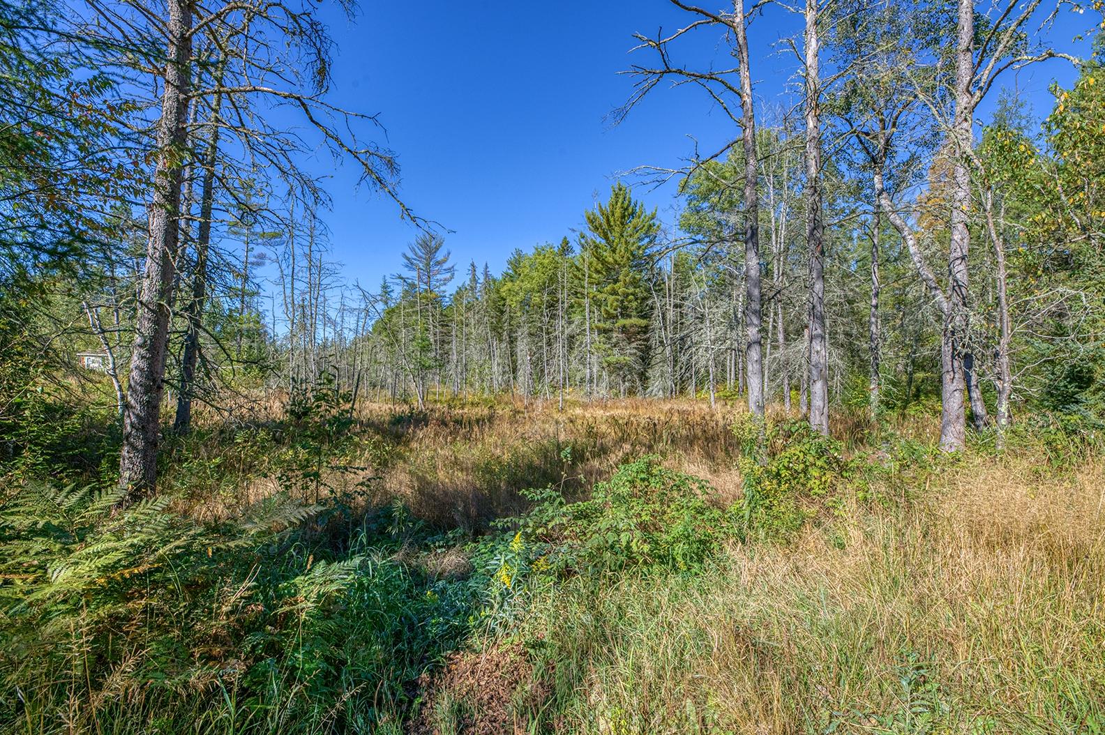 4189 Monheim Road Conover, WI 54519 - Photo 21 of 30 Gallery Image 21