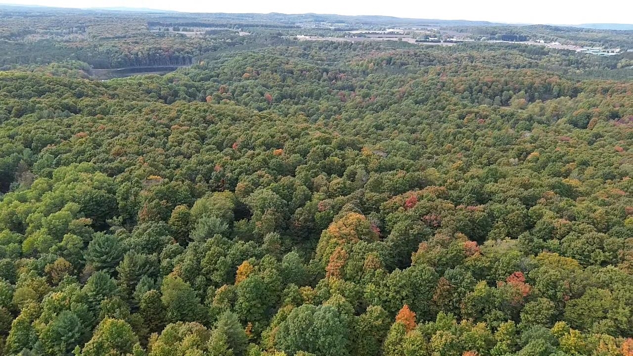 0 South Fritz Road Empire, MI 49630 - Photo 23 of 28
