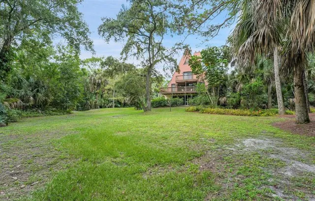 a view of a tree in a park