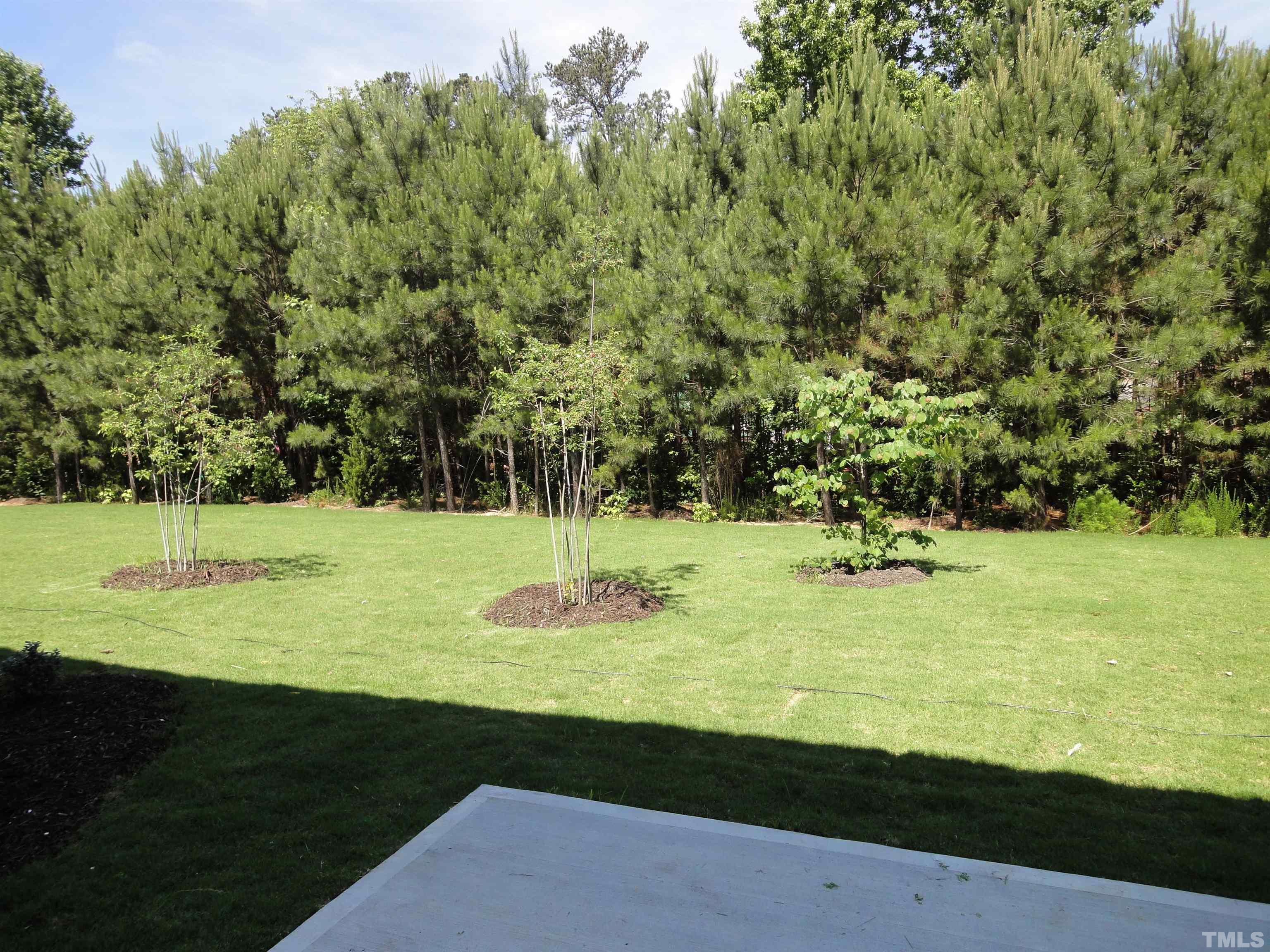 565 Metro Station Apex, NC 27502 - Photo 28 of 29 a view of a field with an trees