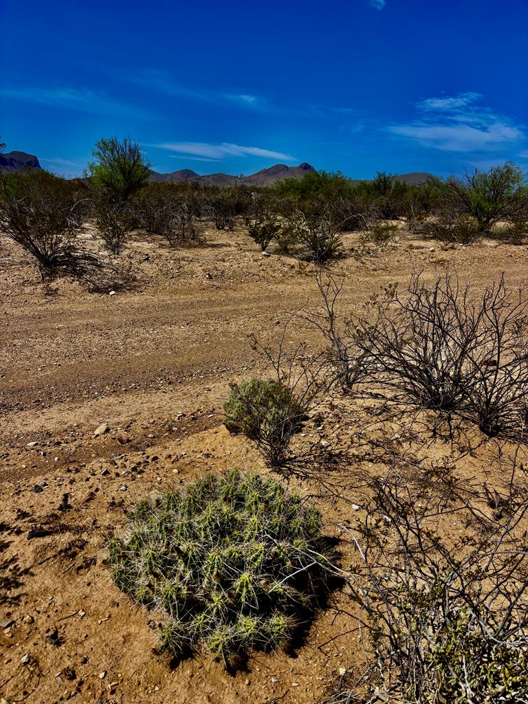 261 Romero Road Alpine, TX 79830 - Photo 16 of 26 Gallery Image 16