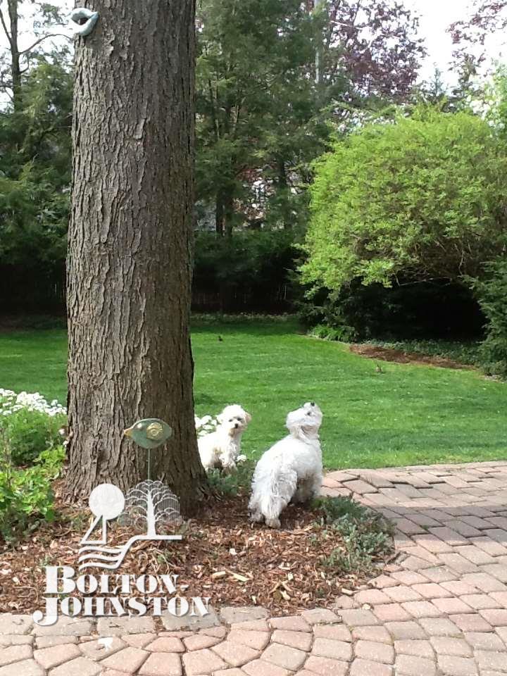 185 Merriweather Road Grosse Pointe Farms, MI 48236 - Photo 30 of 31