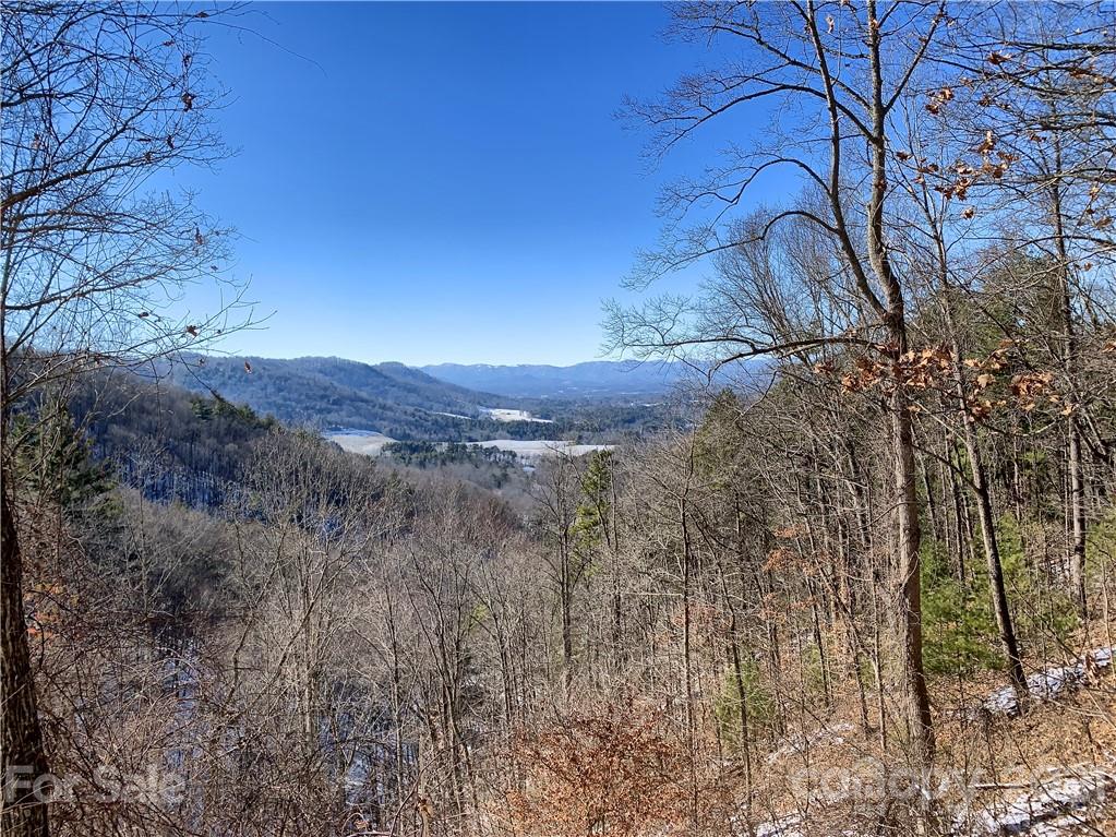 46 Perennial Ridge Weaverville, NC 28787 - Photo 2 of 24 a view of a yard with a tree