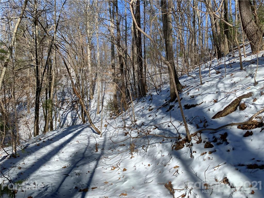 46 Perennial Ridge Weaverville, NC 28787 - Photo 14 of 24 a backyard of a house with large trees and covered with snow