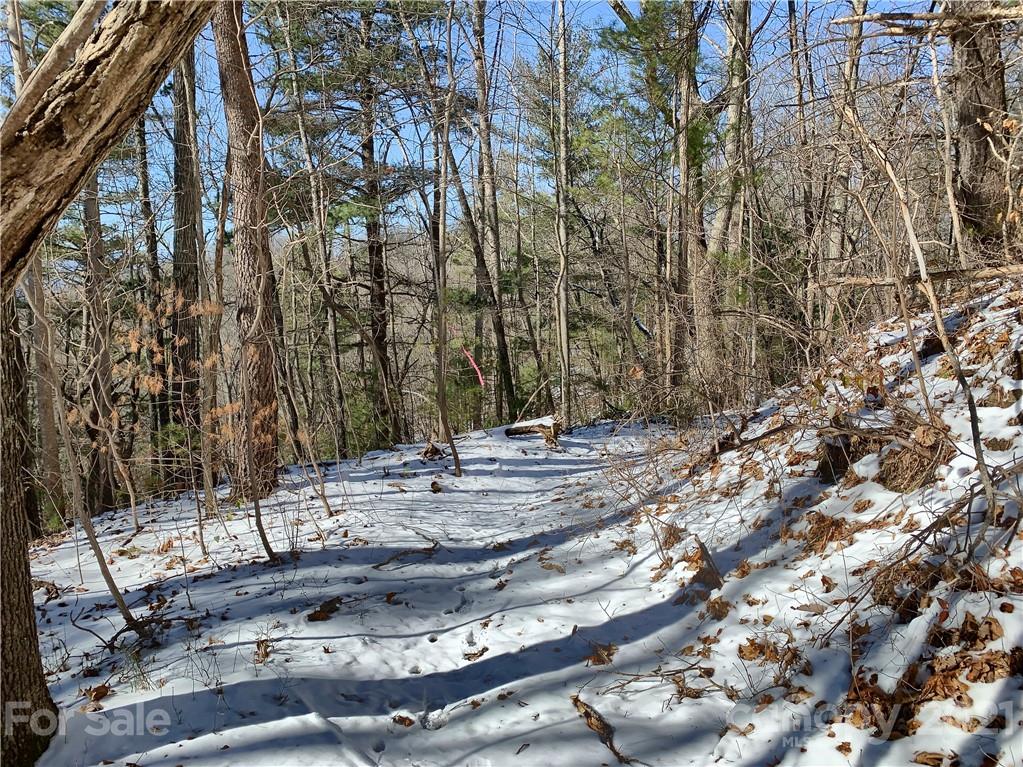 46 Perennial Ridge Weaverville, NC 28787 - Photo 15 of 24 a view of a yard with trees