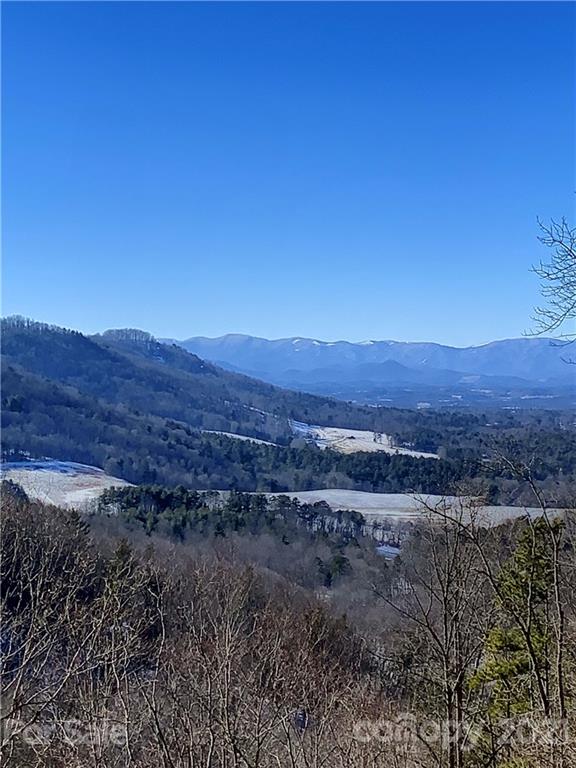 46 Perennial Ridge Weaverville, NC 28787 - Photo 16 of 24 a view of a lush green field with mountains in the background