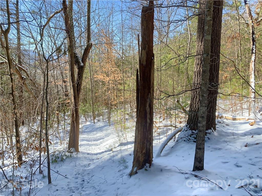 46 Perennial Ridge Weaverville, NC 28787 - Photo 19 of 24 a view of a yard with an outdoor space