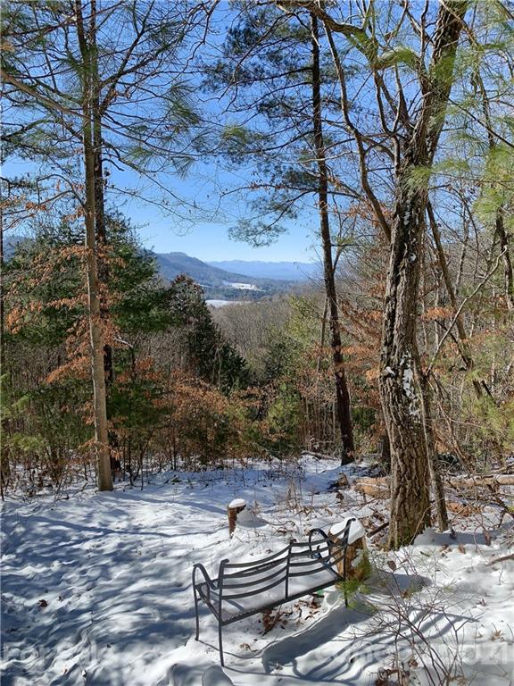46 Perennial Ridge Weaverville, NC 28787 - Photo 20 of 24 a view of a backyard with green space