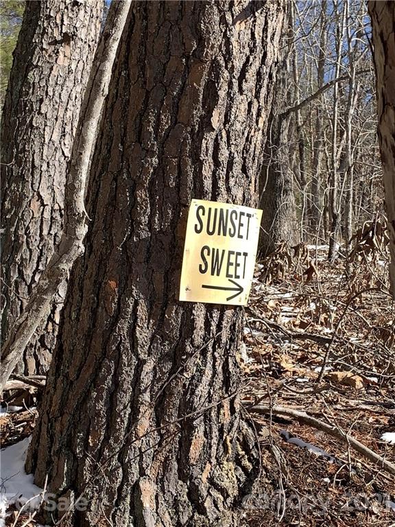 46 Perennial Ridge Weaverville, NC 28787 - Photo 22 of 24 a sign broad on a street