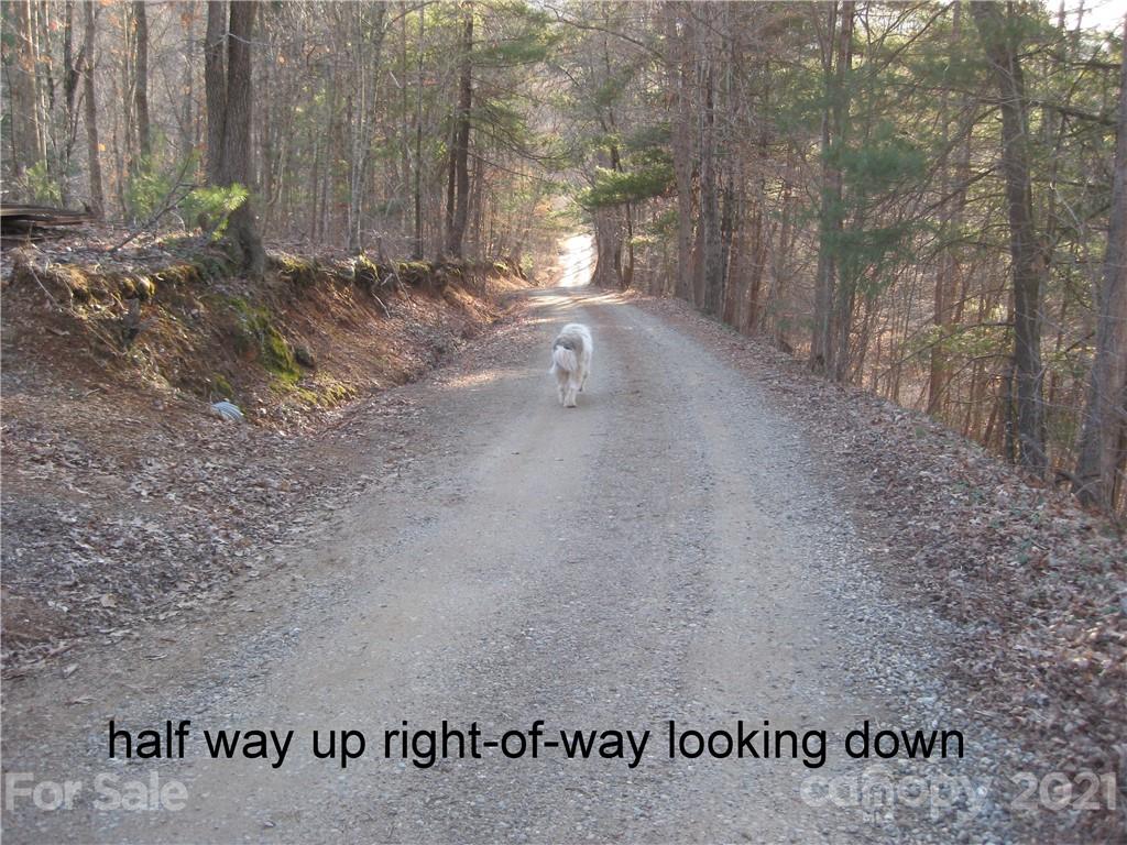46 Perennial Ridge Weaverville, NC 28787 - Photo 24 of 24