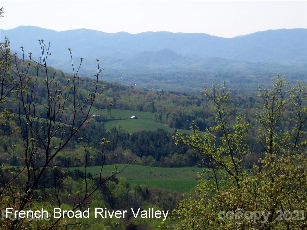 46 Perennial Ridge Weaverville, NC 28787 - Photo 4 of 24 a view of a field